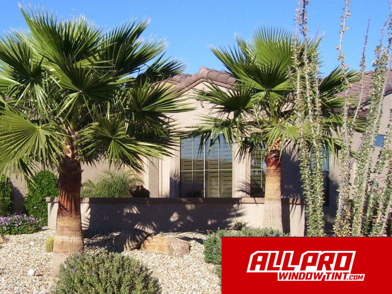 Residential Window Tint 1 Residential Window Tint 1